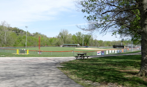 CVDSC04389