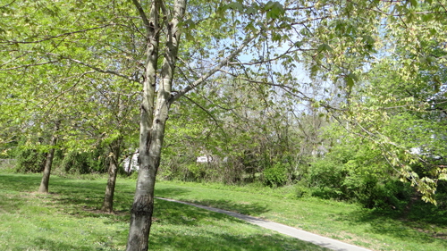 ToddDSC04346