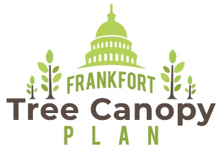 Tree Canopy Plan
